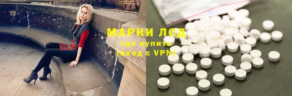 ГАЛЛЮЦИНОГЕННЫЕ ГРИБЫ Краснослободск