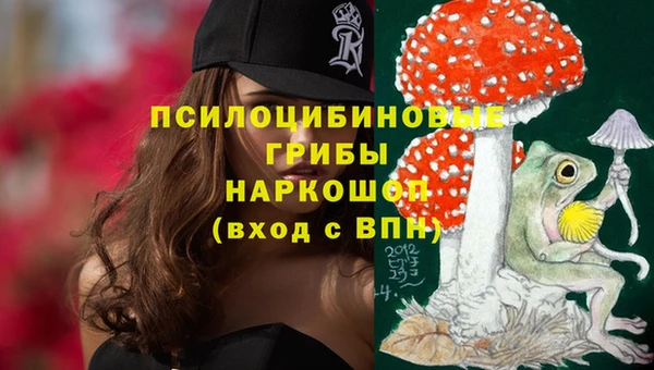 ГАЛЛЮЦИНОГЕННЫЕ ГРИБЫ Краснослободск