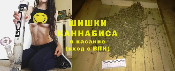 ГАЛЛЮЦИНОГЕННЫЕ ГРИБЫ Краснослободск